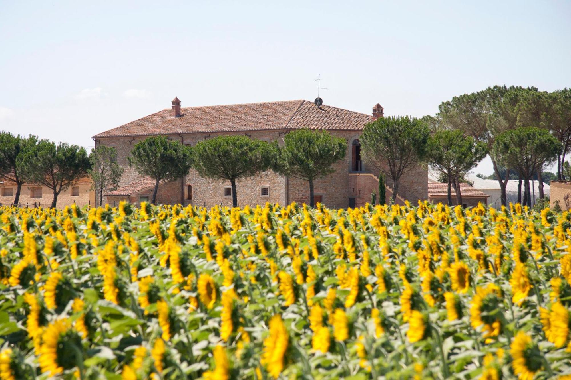 Terra Di Cortona Villa Eksteriør bilde