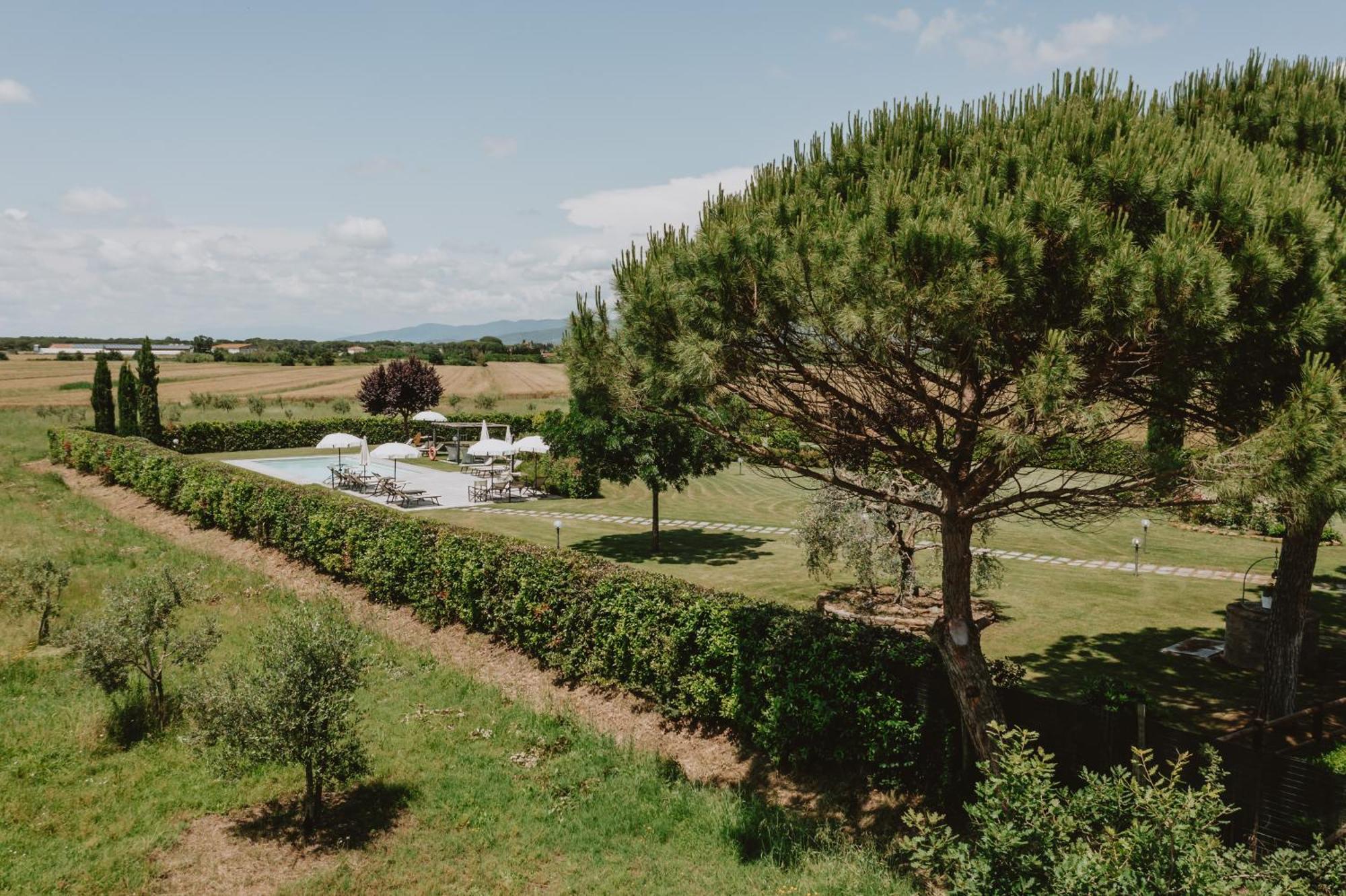 Terra Di Cortona Villa Eksteriør bilde