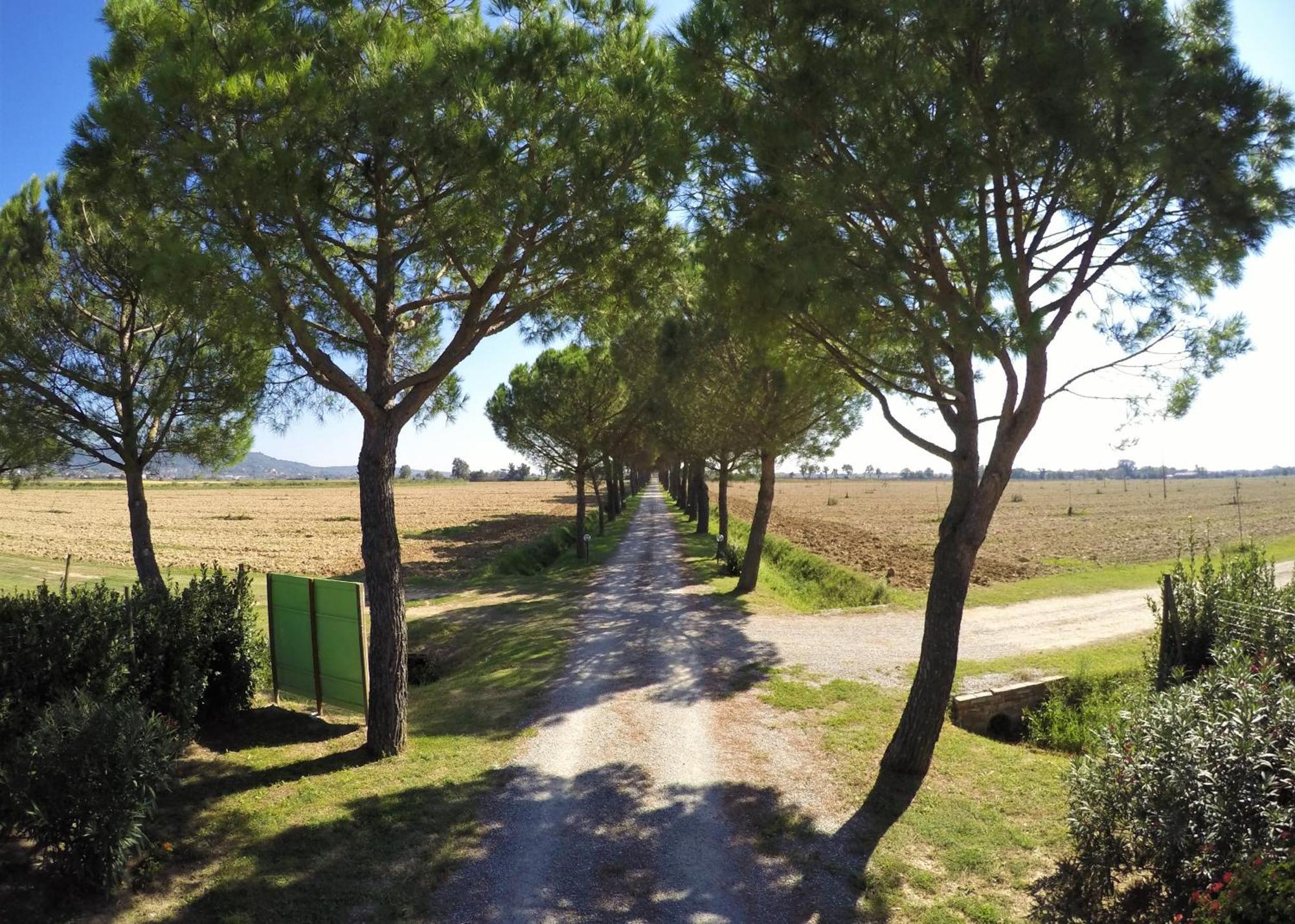Terra Di Cortona Villa Eksteriør bilde